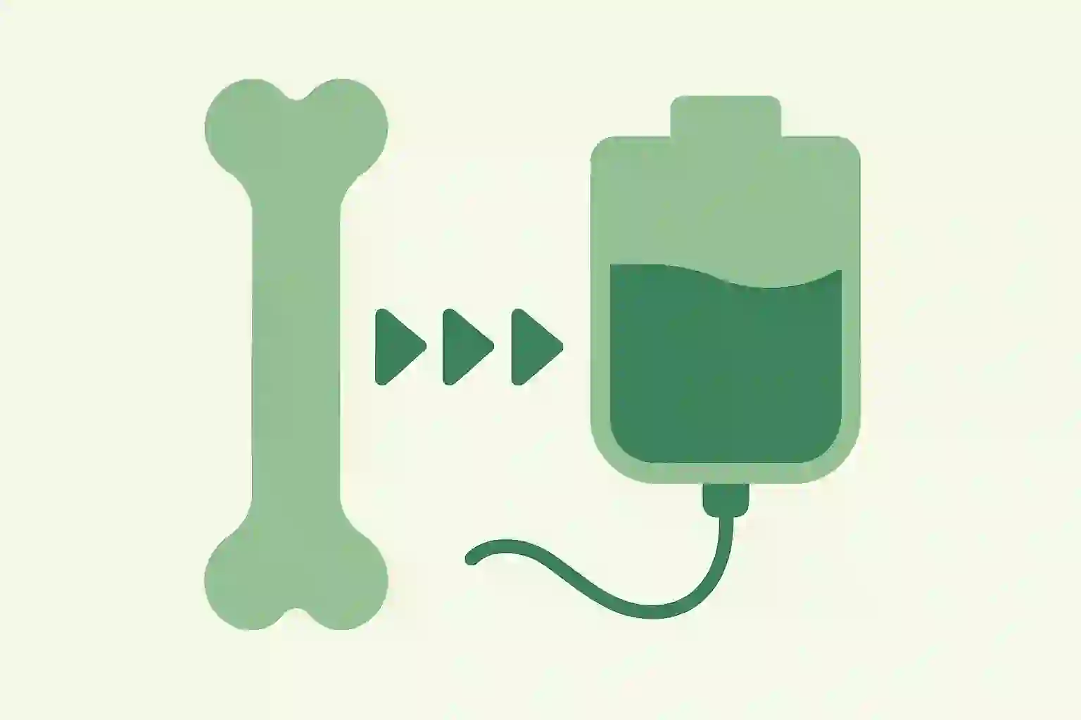 Bone Marrow Transplant - Oncology