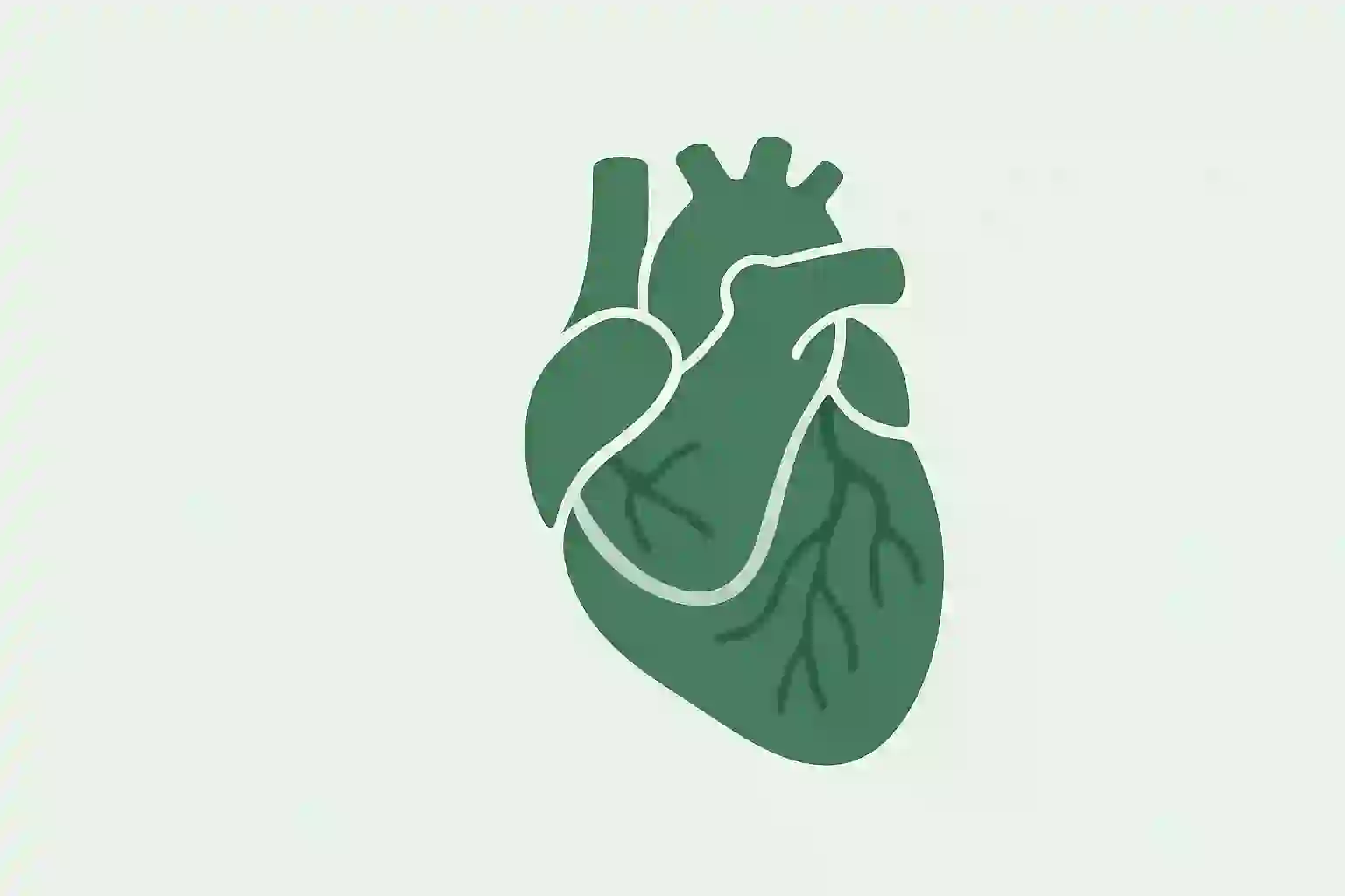 CABG (Heart Bypass Surgery) - Cardiology